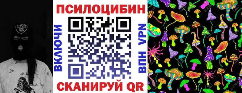 дарнет шоп  Перевоз  Псилоцибиновые грибы GOLDEN TEACHER 