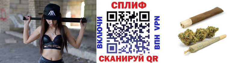Бошки Шишки планчик  где купить наркоту  Перевоз 